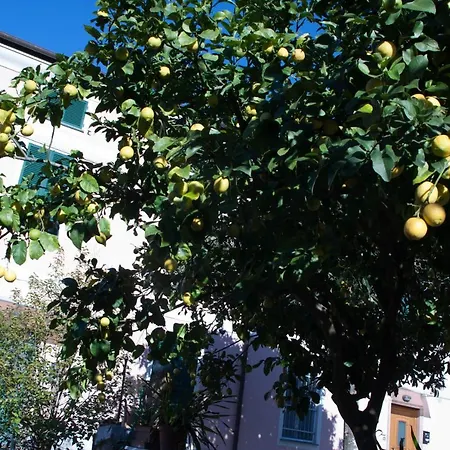 Sole&mare * 莱万托